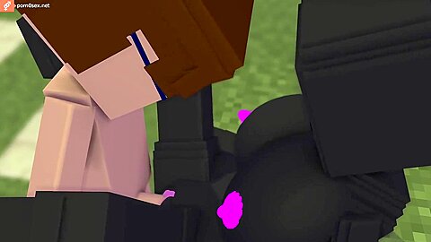 Minecraft Sex Cartoon