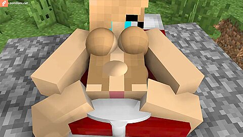 Sex In The World Of Minecraft