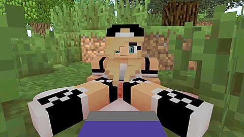 Blowjob In Minecraft From The First Person