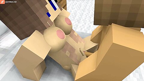 Sex With My Wife In Minecraft