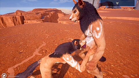 Wild Life – Fox Fucking In The Desert